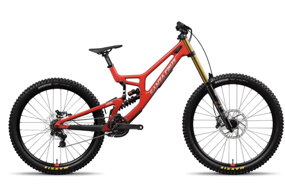 Santa Cruz V10.8 large glanz